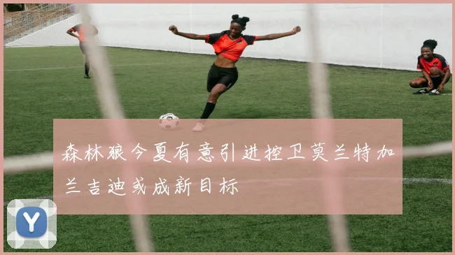森林狼今夏有意引进控卫莫兰特加兰吉迪或成新目标